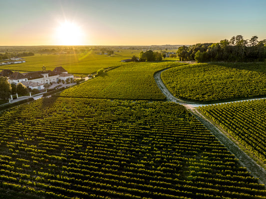 D. : "World wine consumption falls to 27-year low as inflation hits wallets"