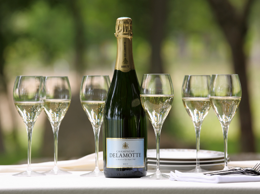 D.B. : " Top 10 blanc de blancs Champagnes "