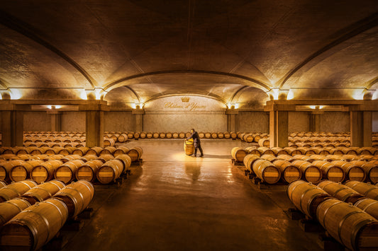 R.V.F. : ' Primeurs de Bordeaux 2023 : "Sauternes est le diamant de ce millésime" '