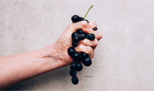 Maddyness : " Renegades and cans: innovation in the UK wine industry "
