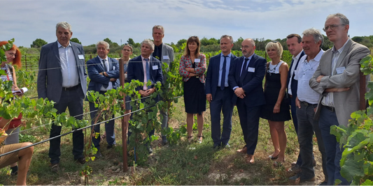 R.V.F. : ' Déménagement risqué pour le “Louvre de la vigne” '