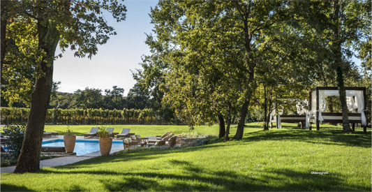 Barrons : " In Wine Resorts, Luxury Travel Goes Rustic "