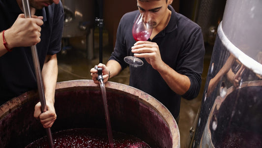 S.F.D. : "The Science Behind Reductive Aromas in Wine"
