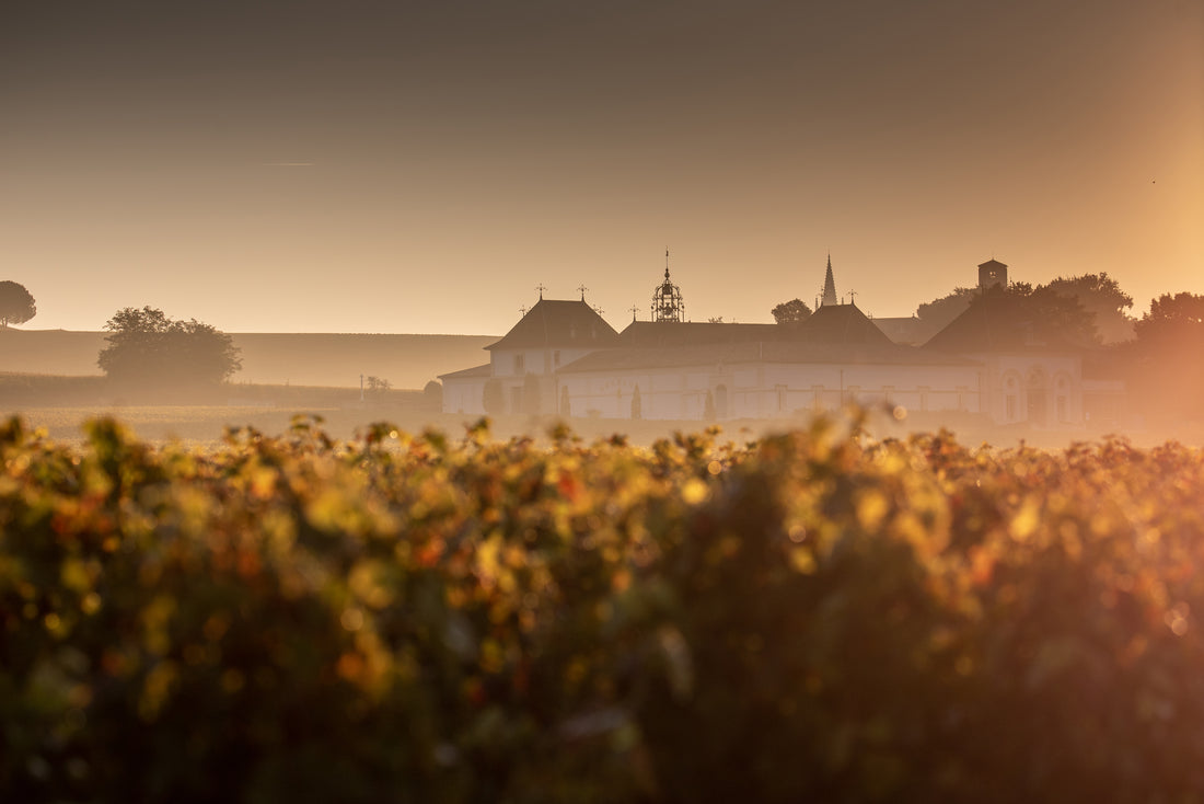 R.V.F. : " Quand ont lieu les primeurs de Bordeaux 2023 ? "