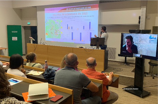 Vitisphère : " Le goût de fumée ne fera pas long feu dans les vins de Bordeaux 2022 "