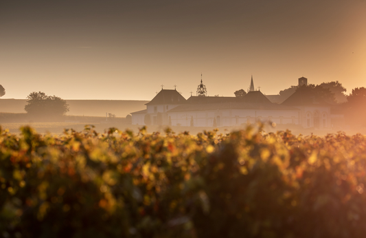 The Drink Business : " Airbnb introduces new ‘Vineyard’ category "