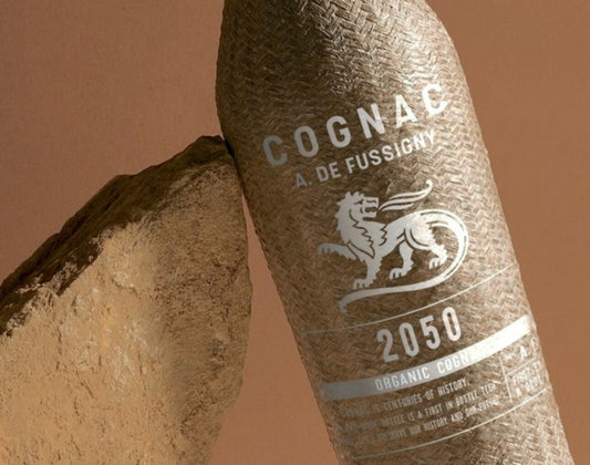 T.V. : " Les bouteilles innovantes de Green Gen "