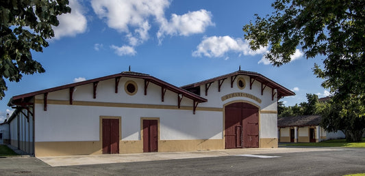 F.V. : "Bordeaux 2021 : les 15 meilleurs seconds vins pour accéder aux châteaux les plus prestigieux sans casser sa tirelire"