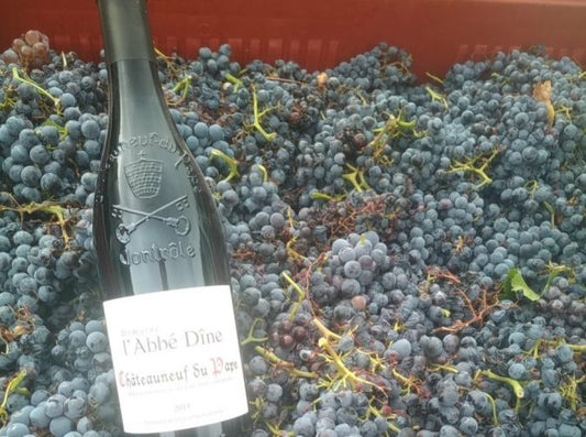 T.V. : " Un très beau millésime annoncé à Vacqueyras et Châteauneuf du pape "