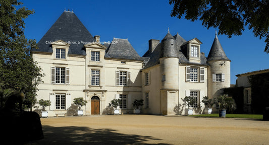 F.V. : " Bordeaux 2022 : nos coups de cœur des vins rouges de Pessac-Léognan "