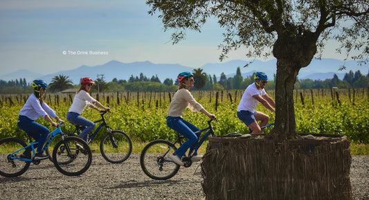 D.B. : "Global wine tourism to see growth of 13% by 2034"