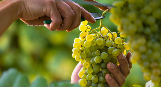 D.B. : " ‘Organic farming is about collaboration at its core’ "