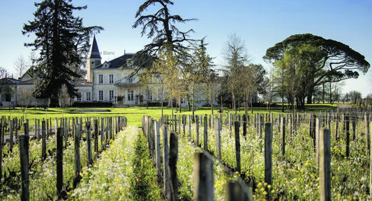 F.V. : ' «Une autre agriculture» : pourquoi il faut écouter le podcast passionnant produit par le château Cheval Blanc '