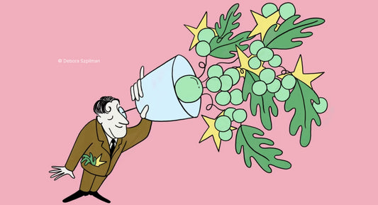 F.T. : "Is central and eastern Europe the next big thing in wine?"