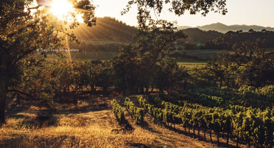 D.B. : " Stag’s Leap Wine Cellars gains regenerative certification "
