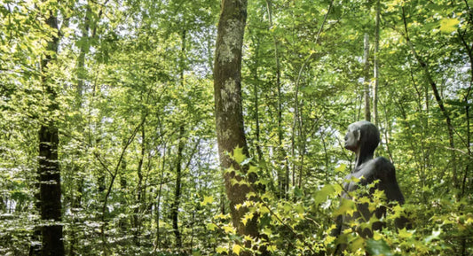 F.V. : "Cabanes perchées, jardins de senteurs... À 20 minutes de Bordeaux, le paradis secret de Château Smith Haut Lafitte"