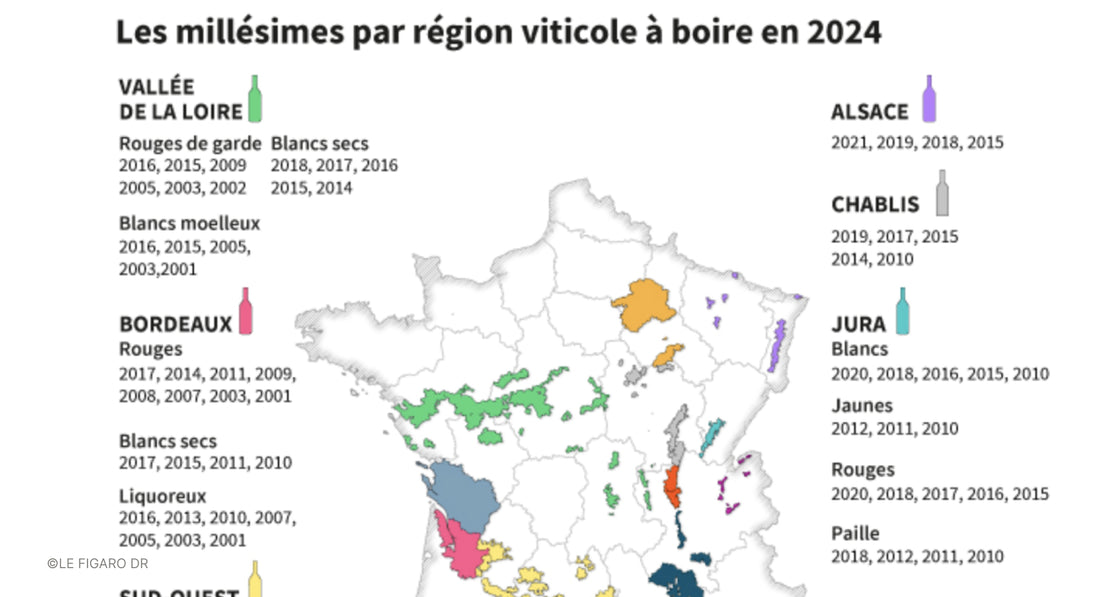 F.V. : " Notre guide infaillible pour connaître les bons millésimes à déguster en 2024 "