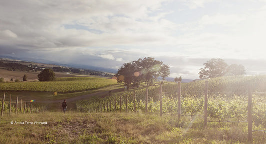 W.E. : "Is Terroir a Myth?"