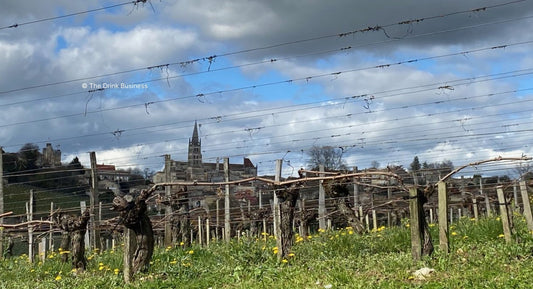 D.B. : "Bordeaux 2024 vintage profile: Triumph and Tribulation"