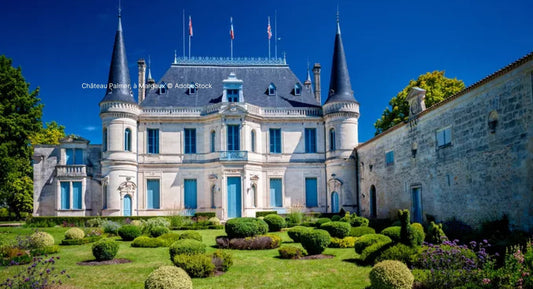 F.V. : " Plus accessibles et proches en qualité : ces 20 seconds vins de grands châteaux de Bordeaux qui nous ont régalés sur le millésime 2022 "