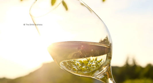 D.B. : "White Bordeaux sees gains in the 2024 campaign"