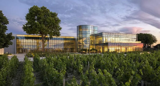 F.V. : " Bordeaux en primeur : les 10 nouveaux chais qui ont sauvé le millésime 2024 "