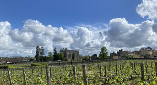 D.B. : "Bordeaux 2024 en primeur: Saint-Émilion produces ‘vintage-transcending wines’ "