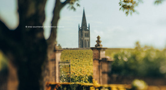 W.C.Z. : "Bordeaux 2024 in a nutshell: a pyramid-shaped vintage"