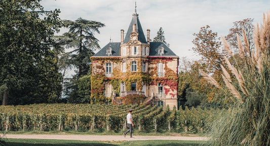 C.N.T. : "The Best Things to Do in Bordeaux, a Land of Wine and Castles"