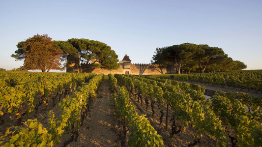 Les Echos : " Boira-t-on encore du sauternes à Noël ? "