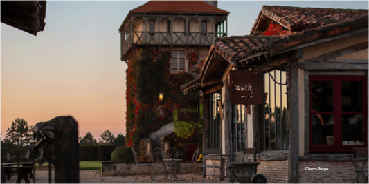F.V. : " Bordeaux en primeur 2021 : notre top 10 des meilleurs vins de Pessac-Léognan "