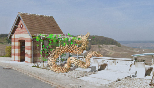 T.V. : " Vign’Art : quand le land art réinvente la Champagne "