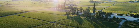 Tous les vins