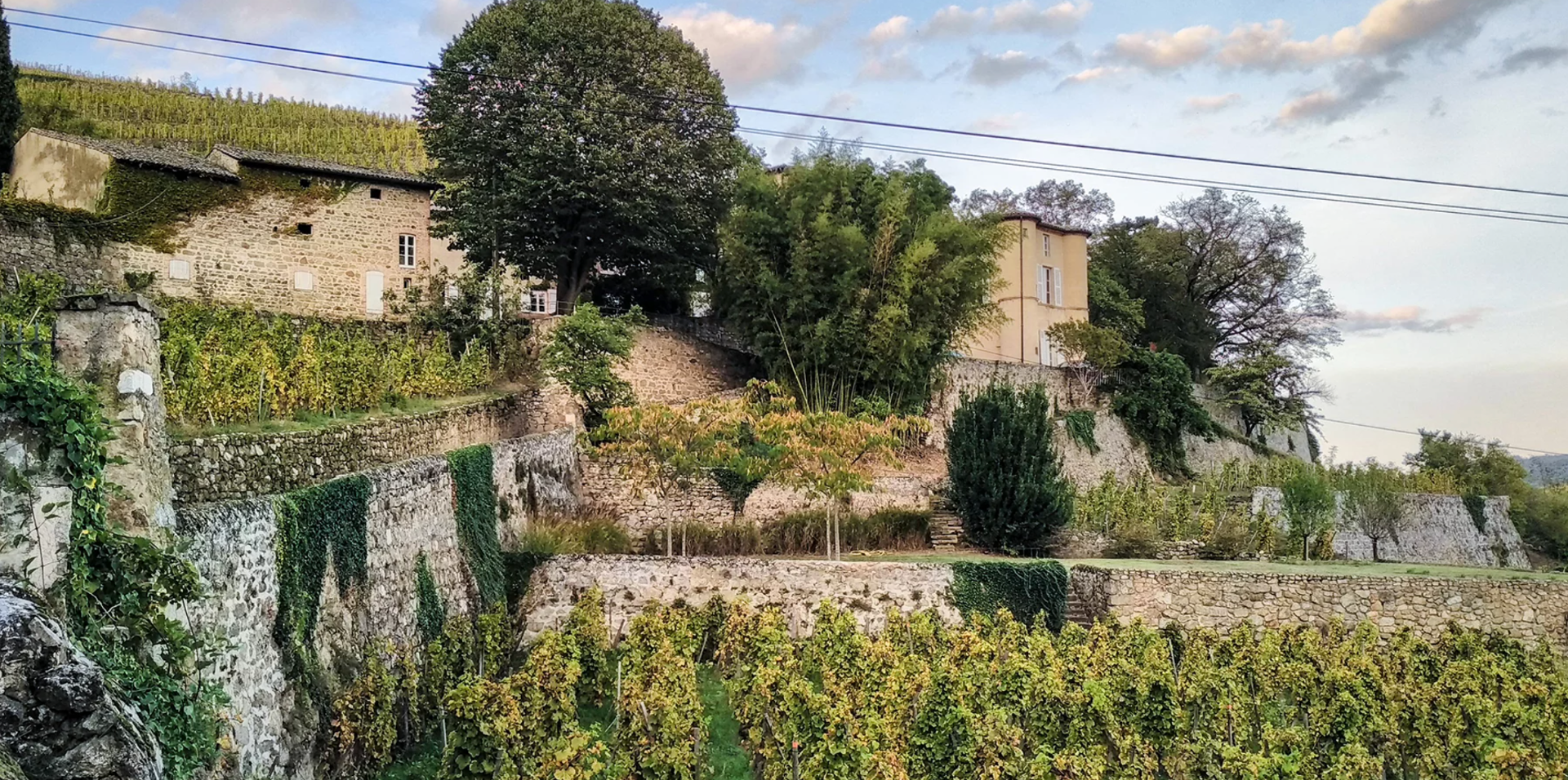 CHATEAU-GRILLET : シャトー・グリエ