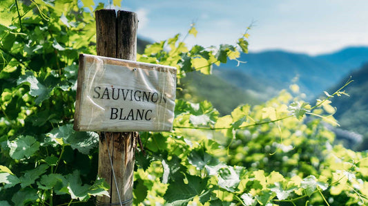 W.E. : "Think You Know Sauvignon Blanc? Try Aging It"