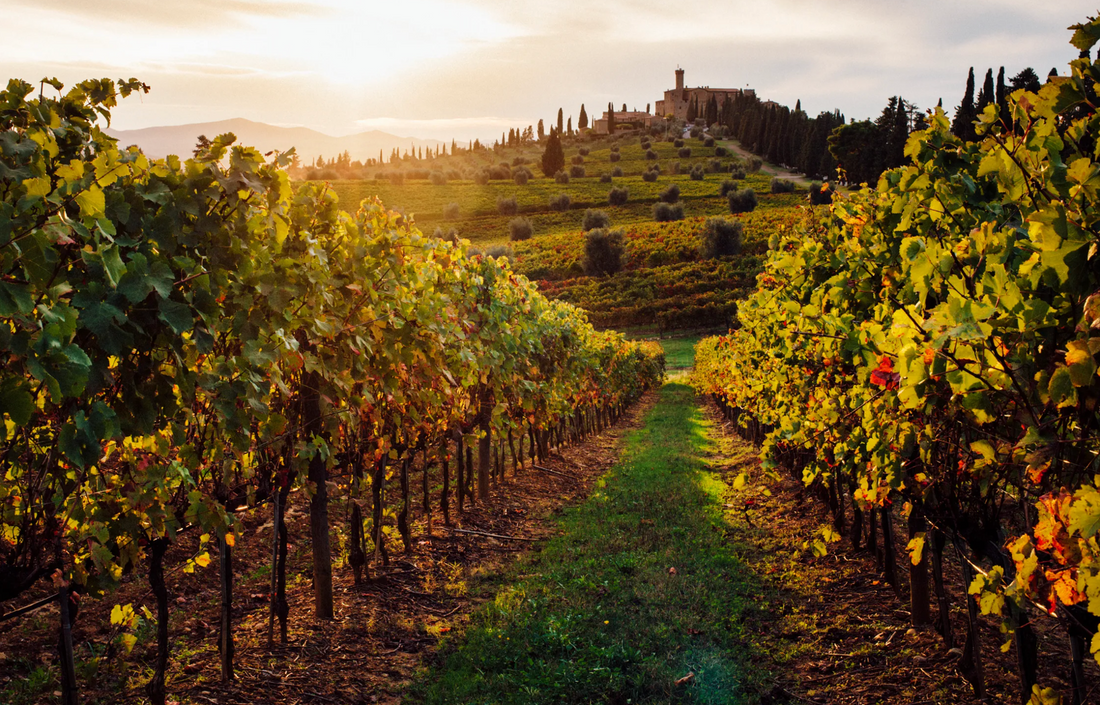Vogue : " 12 Underrated Wine Regions to Visit This Fall, According to the Experts "