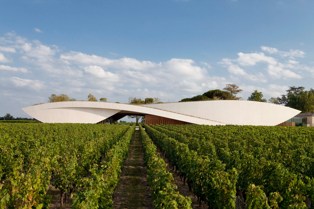 Terre de Vins : "[PODCAST] Cheval Blanc s’écoute"
