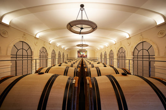 F.W. : "14 Wineries to Visit if You Want to Be an Expert in French Wine"