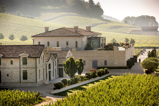 R.V.F. : " La France redevient le premier pays producteur de vin au monde en 2023 "