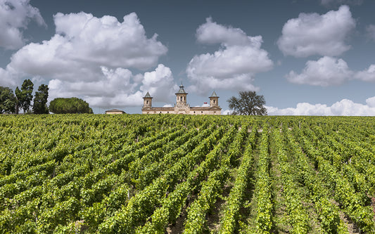 CNN : " International ‘wine train’ planned for Europe by 2026 "