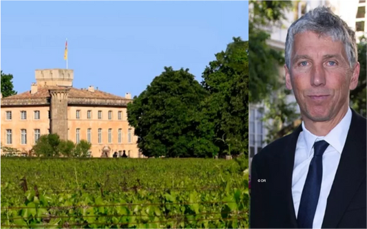 R.V.F. : " Provence : Stéphane Courbit, les Sarkozy et la famille Prats rachètent le château Beaulieu et le domaine de Cantarelle "