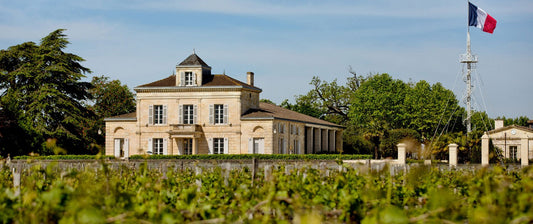 "Comment le Château Montrose se prépare au climat de 2070"