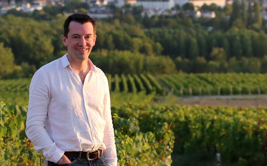 T.V. : " Tyson Stelzer lance un guide du champagne en ligne "