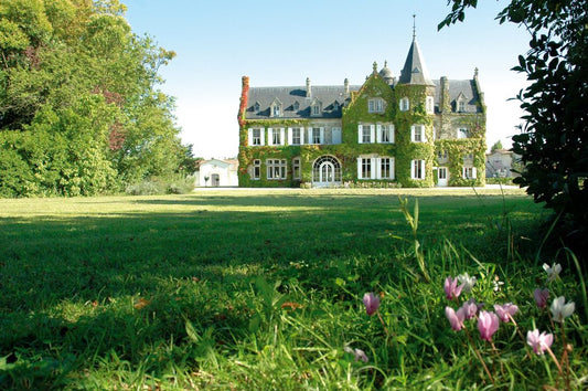 D.B. : " Lawrence Family Wine Estates reveals plan to bring Château Lascombes to its ‘full potential’ "