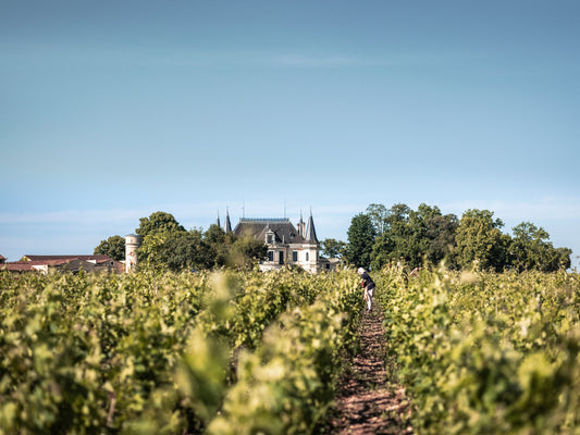 T.V. : ' Château Palmer : « donner à vivre le lieu » '