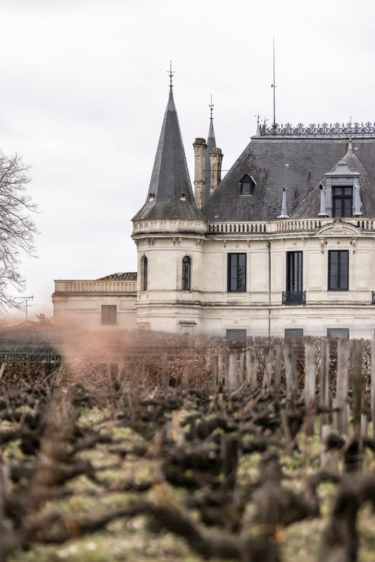 D.B. : " En primeur see big guns released: Les Carmes Haut-Brion, Ausone and Palmer "