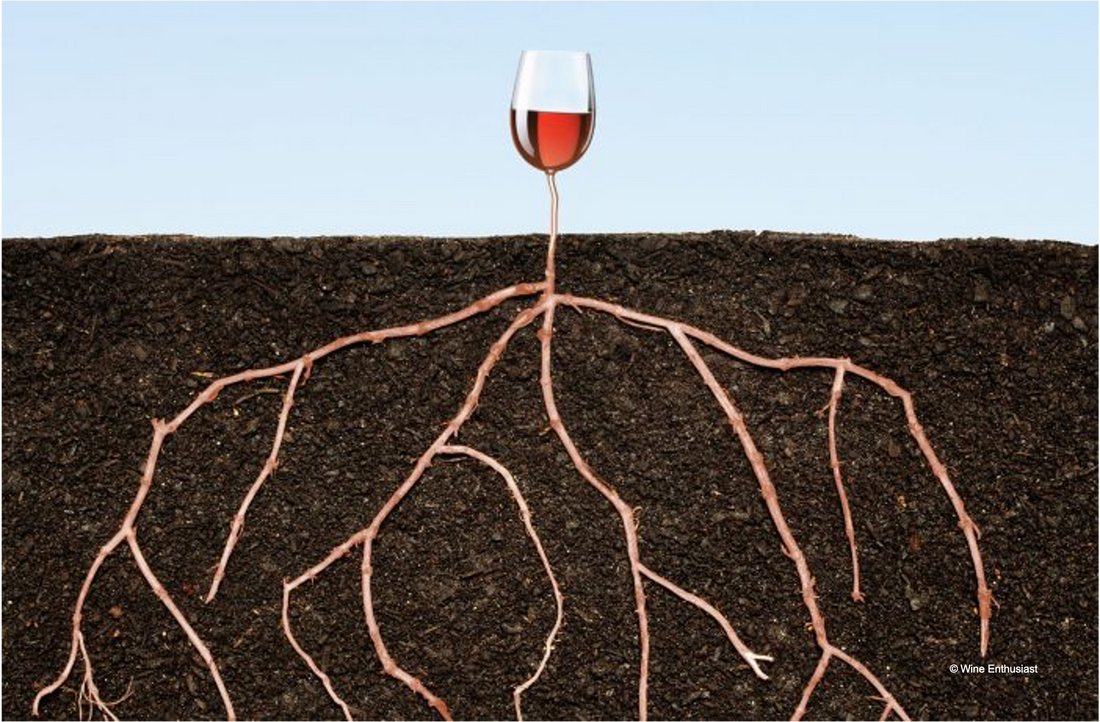Wine Enthusiast : " Understanding Loam Soil in Wine "