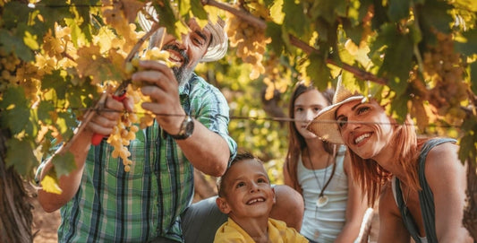 F.V. : " Faire du vin dans son jardin, nouvelle lubie ou vrai phénomène ? "