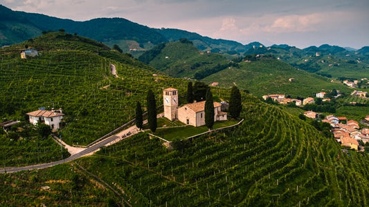 Forbes : " Take Five: Italian Wine Regions To Know This Summer "