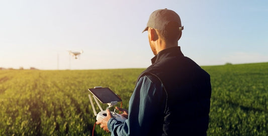 F.V. : " Comment les drones décident-ils de la date des vendanges ? "